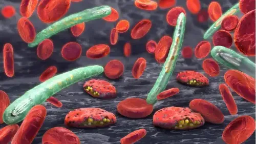 Which Fruit Is Good for Malaria Patients?
